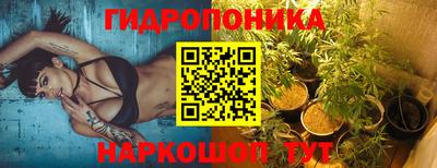трава Кингисепп