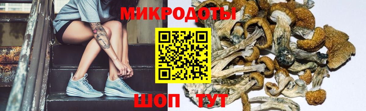 Красноуфимск  Псилоцибиновые грибы мицелий  Вход с VPN 